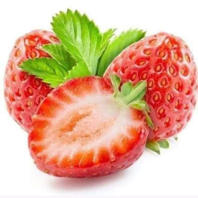 Morago do amor no WhatsApp