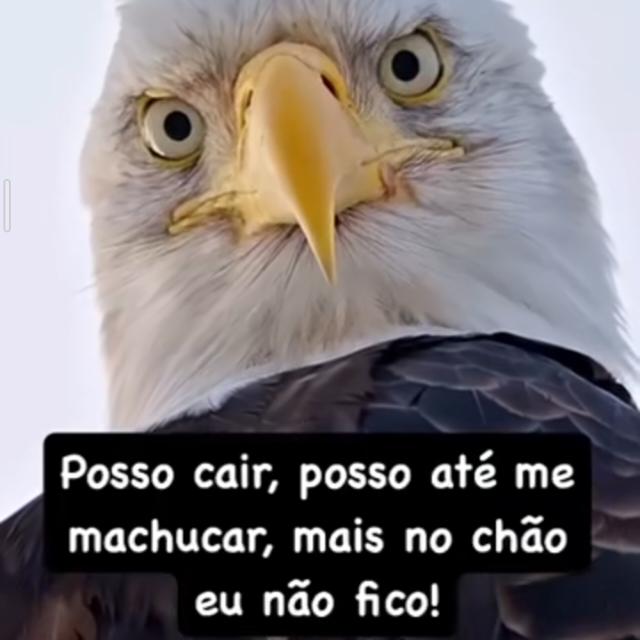 Grupo de namoro evangélico whatsapp