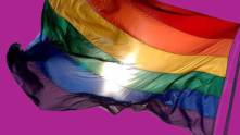 Grupo LGBT Maranhão