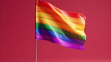 Grupo LGBT